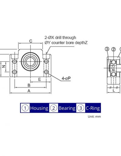 BF Style Dimensions