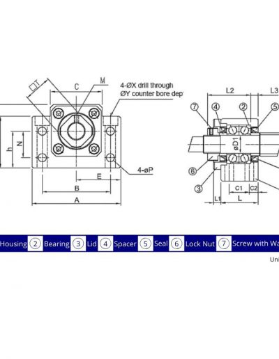 BK Style Dimensions